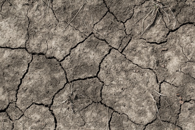 5-geluksdagen-volgens-dierenriemteken